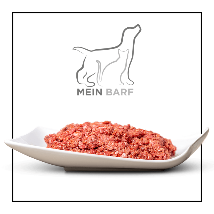 BARF Dinner - Ginger & Ales Lieblingsdinner mit Truten und Lachs (2x200g)