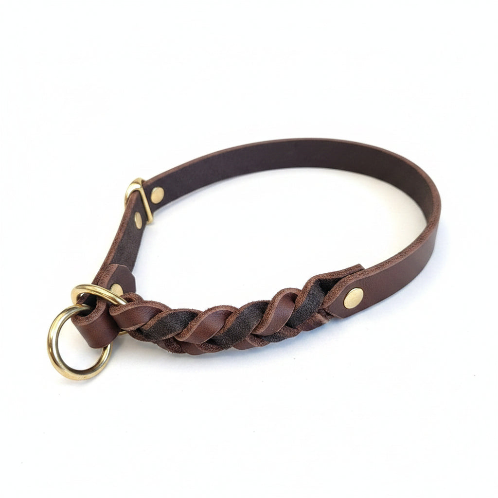Leather Collar with Martingale Brown/Brass