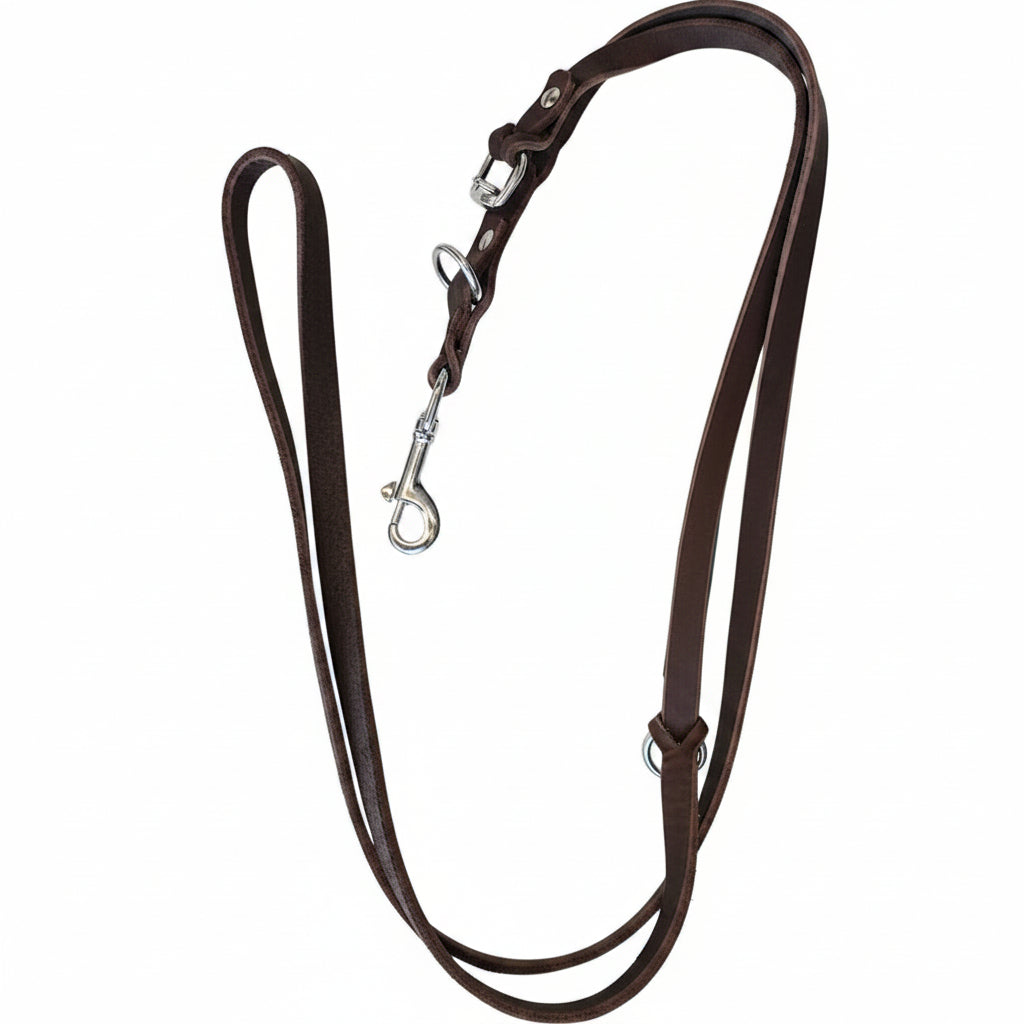 Leather Leash Brown