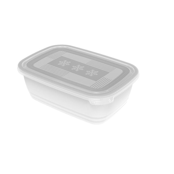 Rotho FREEZE Freezer Container Set