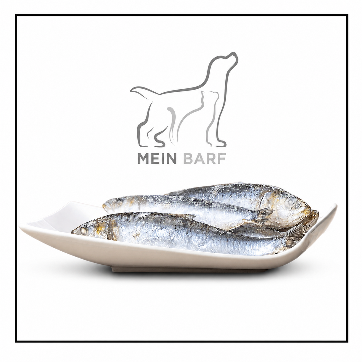 Big-Pet Sardinen ganz (1000g)